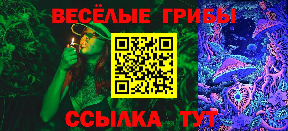 Сосновый Бор  Галлюциногенные грибы прущие грибы  Вход с VPN 